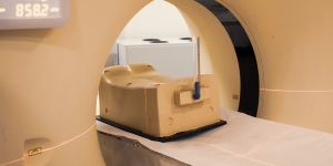 Modelo de coluna permite realizar a simulação de cirurgias minimamente invasivas