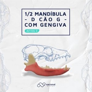 Read more about the article Odontologia Veterinária: Especialização, treinamento e Bioética.